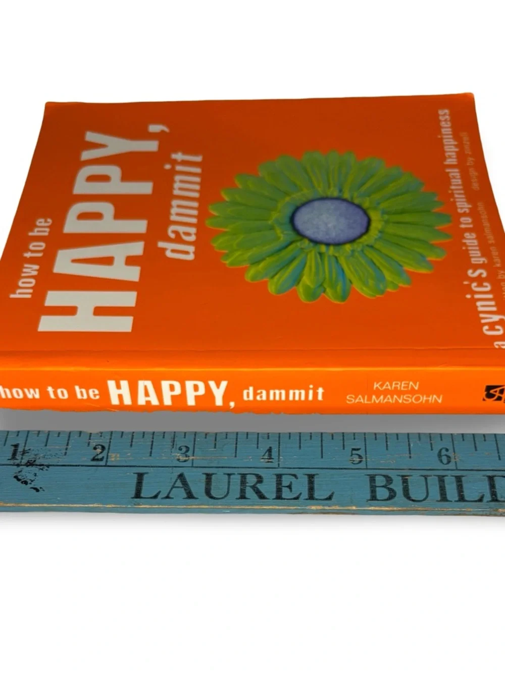 How to Be Happy, Dammit: A Cynic's guide - Karen Salmansoh - pb 2001 illustrated